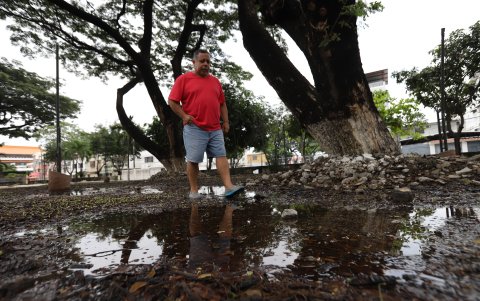 Parque. En las manzanas 90 y 94 las áreas verdes requieren atención.