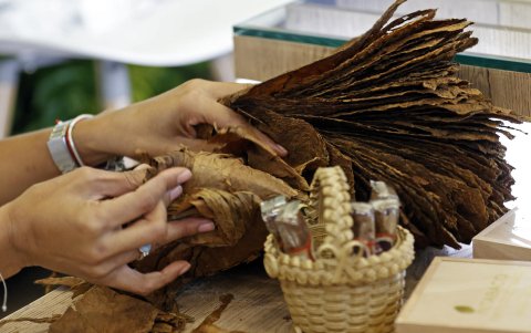 Una mujer dobla hojas de tabaco en el pabellón de República Dominicana durante la 42 edición de la Vitrina Turística de la Asociación Colombiana de Agencias de Viajes y Turismo (Anato), en Bogotá (Colombia).