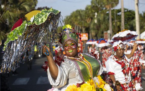 Integrantes de ochenta comparsas desfilaron con toda la ilusión este domingo por el malecón de Santo Domingo.