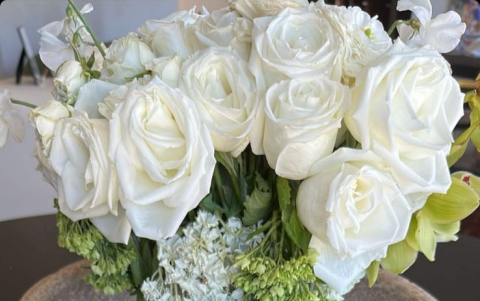 Historia de Jasmine Tookes.