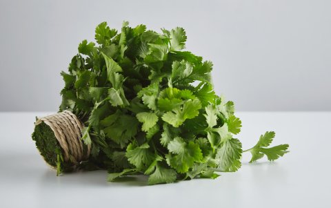 Batch of fresh parsley, cilantro, tied with craft rope, isolated on whte table