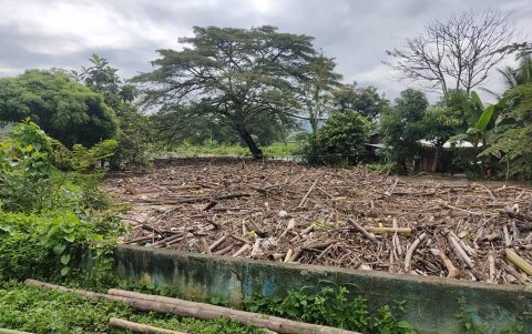 Palizada acumulada en un punto de flujo del agua lluvia. Foto tomada de la cuenta de Twitter de la asambleísta alterna del correísmo Mishell Coppiano.