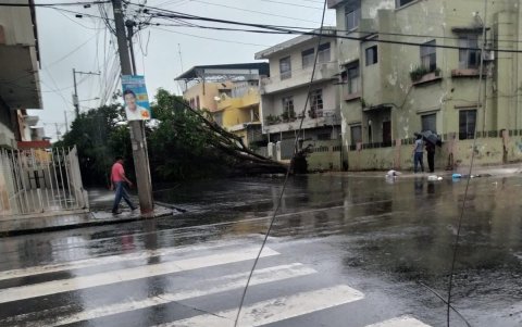 El corte de energía eléctrica, provocado por la caída del árbol, generó una situación de incertidumbre y miedo en el vecindario.