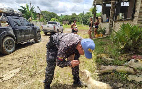 Las mascotas también son víctimas del mal clima.