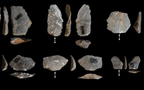 Ejemplos de lascas con bordes afilados producidas involuntariamente por macacos de cola larga.