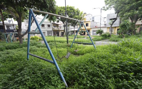 Foco. En Sauces 9, el área es guarida de mosquitos y roedores.