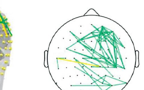 Las emociones que son identificadas en el estudio se convierten en algoritmos