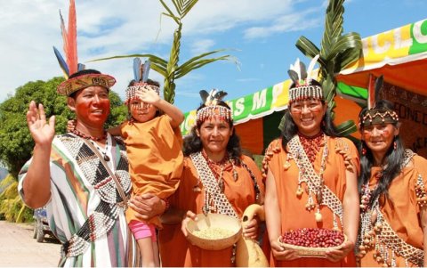 Los ashaninkas son una gran tribu que hasta la fecha se han mantenido en las profundidades de la Amazonía.