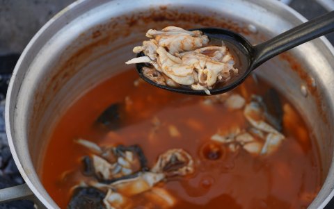 Preparación. Antes de cocinarlas, las ponen a marinar en leche para quitar los aromas a humedad que puedan tener,.