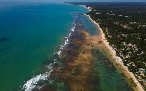 Los arrecifes de coral necesitan de la luz del sol, la gran mayoría se ubica en aguas rasas cercanas a la superficie.