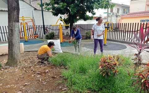 La limpieza se extendió también a las áreas verdes.