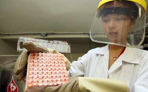 Una investigadora trabajando con células madre del cordón umbilical.