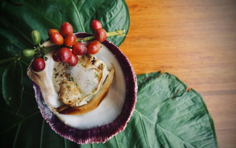 La ostra de roca, su especialidad.