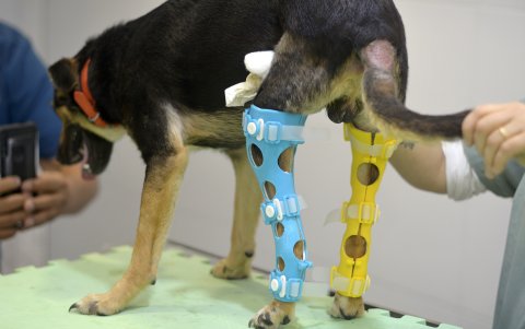Eduardito usando una prótesis creada por los uruguayos Valentina Baglini e Ismael Acosta, en Montevideo (Uruguay).
