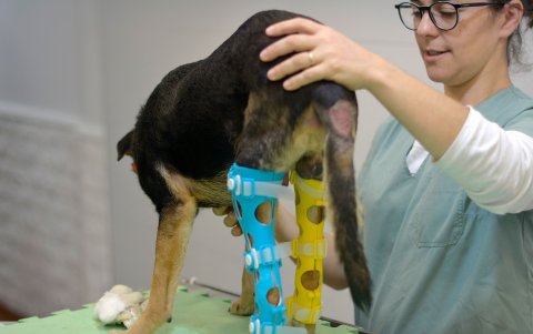 Eduardito usando una prótesis creada por los uruguayos Valentina Baglini e Ismael Acosta, en Montevideo (Uruguay).