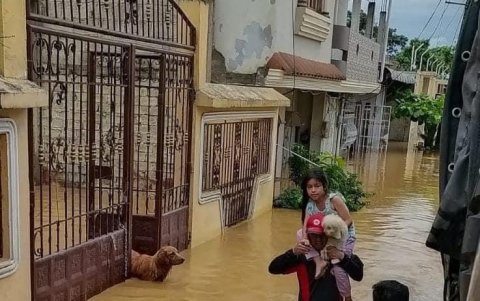 Rescate. Ciudadanos auxiliaban a familias enteras, incluso a mascotas.