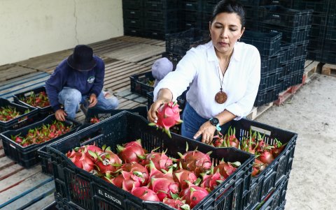 El negocio surgió en una conversación entre amigos.