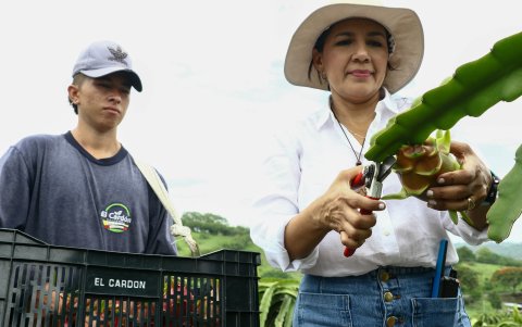 Ella está sembrando grandes ideas para su futuro