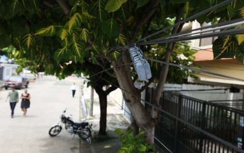 Los cables se enredan entre las ramas de los árboles