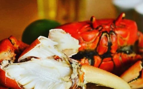 Los cangrejos criollos son otra opción en la Semana Mayor.