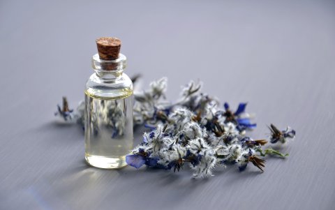 Lavanda para rodearte de aromas relajantes