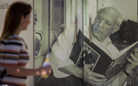 Jornada. Una mujer pasa por el acceso de la Fundación Pablo Ruiz Picasso en la Plaza de la Merced de Málaga.