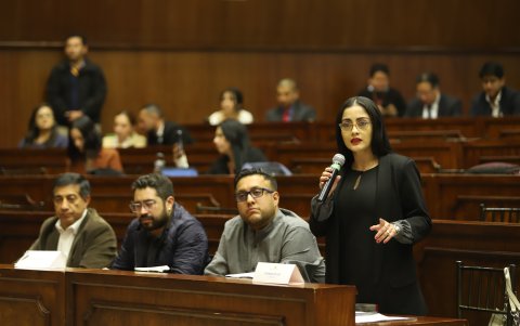 Viviana Veloz, del correísmo, una de las proponentes del juicio político contra Lasso.