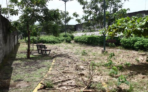 Mantenimiento. Los vecinos han podado parcialmente el espacio, pero no completan el trabajo por falta de tiempo.