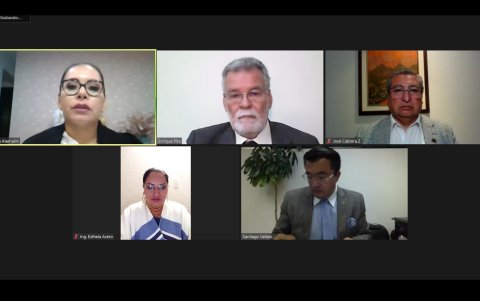 La decisión de entrar en un nuevo periodo electoral fue tomada por el pleno del CNE la noche del 19 de abril de 2023.