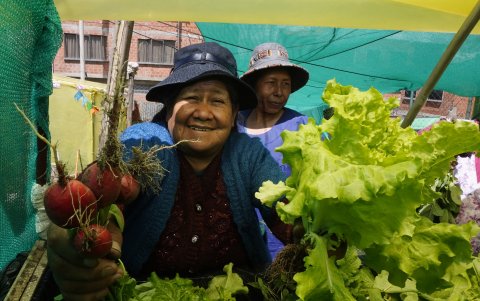 Una mujer aimara muestra orgullosa unos rábanos que acaba de recoger de uno de los espacios sembrados en un antiguo solar vacío en su ciudad La Paz.