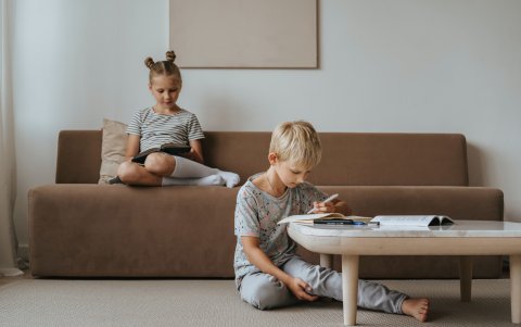 Descubra cuáles son sus características principales.