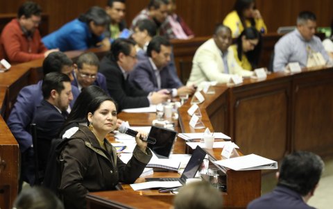 Interpelación. La legisladora expulsada de Pachakutik dirige una mirada o a Édgar Neira, abogado defensor del presidente Guillermo Lasso.
