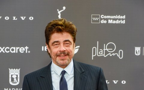 Benicio del Toro.