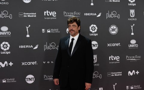 Benicio del Toro.