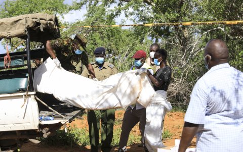 Las autoridades han ordenado una prolija invesigación para esclarecer estas muertes.