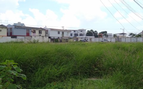 Así permanecen los solares. El de la imagen está precisamente cerca de una clínica y a escasos metros del Puerto Lucía Yatch Club.