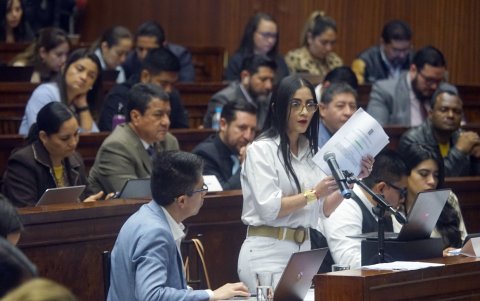 El 23 de abril de 2023, una de las proponentes del juicio,Viviana Veloz, argumentó la acusación.