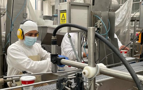 Tiempo. Las plantas de producción se toman un tiempo promedio de 18 horas para procesar los lotes de yogur griego. Su principal ingrediente es la leche.
