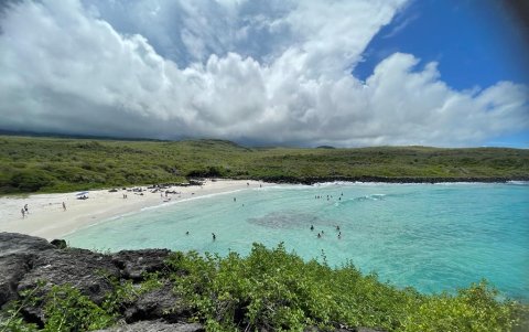 Actividades como el buceo, el senderismo y la observación de aves son algunas de las opciones que los visitantes pueden disfrutar en este entorno único.