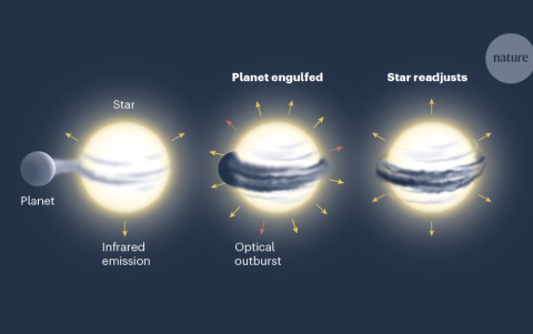 Un planeta fue tragado por una estrella, tras acercarse a una corta distancia.