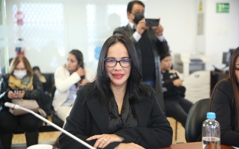 En marzo de 2022, Elina Narváez se principalizó como legisladora.