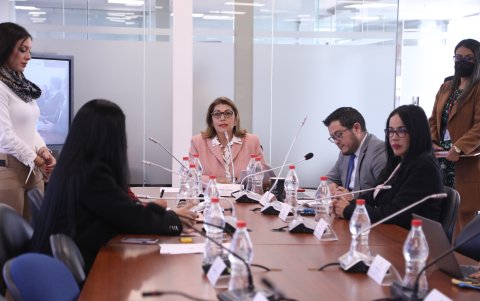 Elina Narváez pertenece a la Comisión de Desarrollo Económico.
