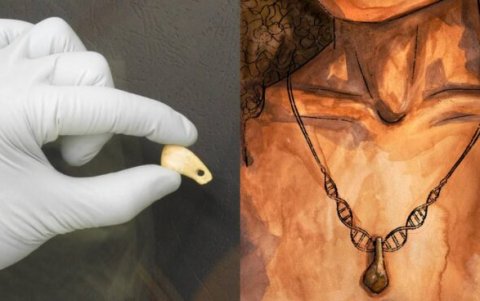 El diente de ciervo perforado descubierto en la cueva de Denisova y recreación artística del colgante con un cordón de ADN.