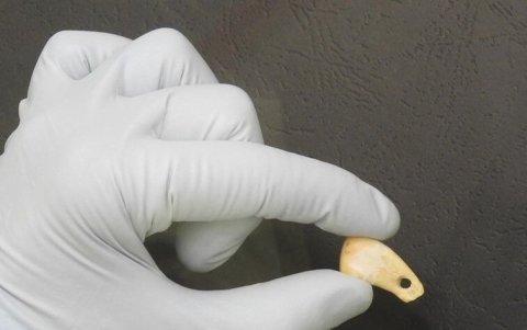 Fotografía del colgante, con 20.000 años de vida.