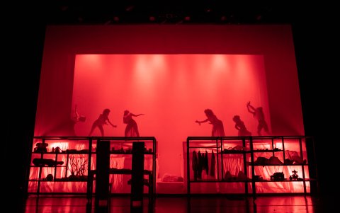 La puesta en escena incluye varios elementos multidisciplinarios.