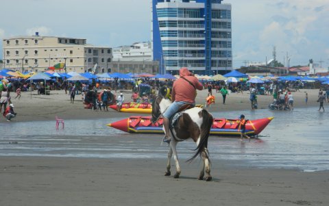 La ciudadanía ha pedido frenar los paseos a caballo. Las denuncias por el estado en el que están son múltiples.