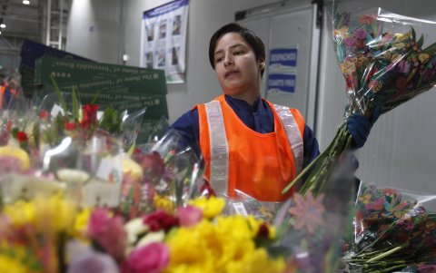 Karina Ríos, quien tiene discapacidad auditiva, trabaja en la empresa Flores Isabelita el 5 de mayo de 2023, en La Ceja (Colombia).