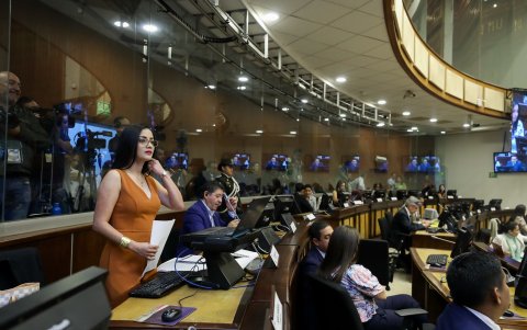 Viviana Veloz, del correísmo, es la interpelante indiscutida del proceso contra Lasso.