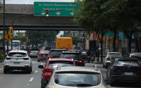 En los bajos del puente que cruza la avenida Benjamín Carrión y Orellana, apenas el cuadrante de una intersección, existe una docena de aparatos.