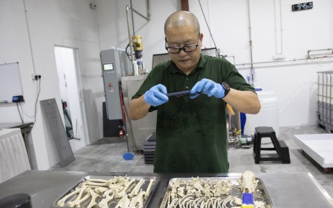 Joe Kam, fundador de 'The Green Mortician', trabaja en el siguiente paso de la cremación de un perro.